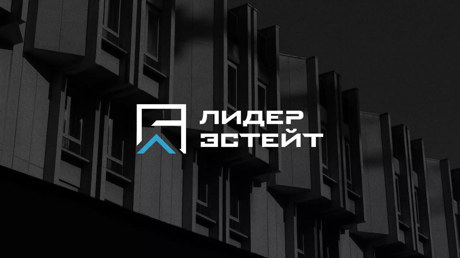 Разработка логотипа агентства недвижимости «Лидер Эстейт» в Торжке